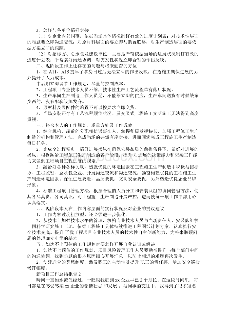 新项目工作总结报告Word文档格式.docx_第2页