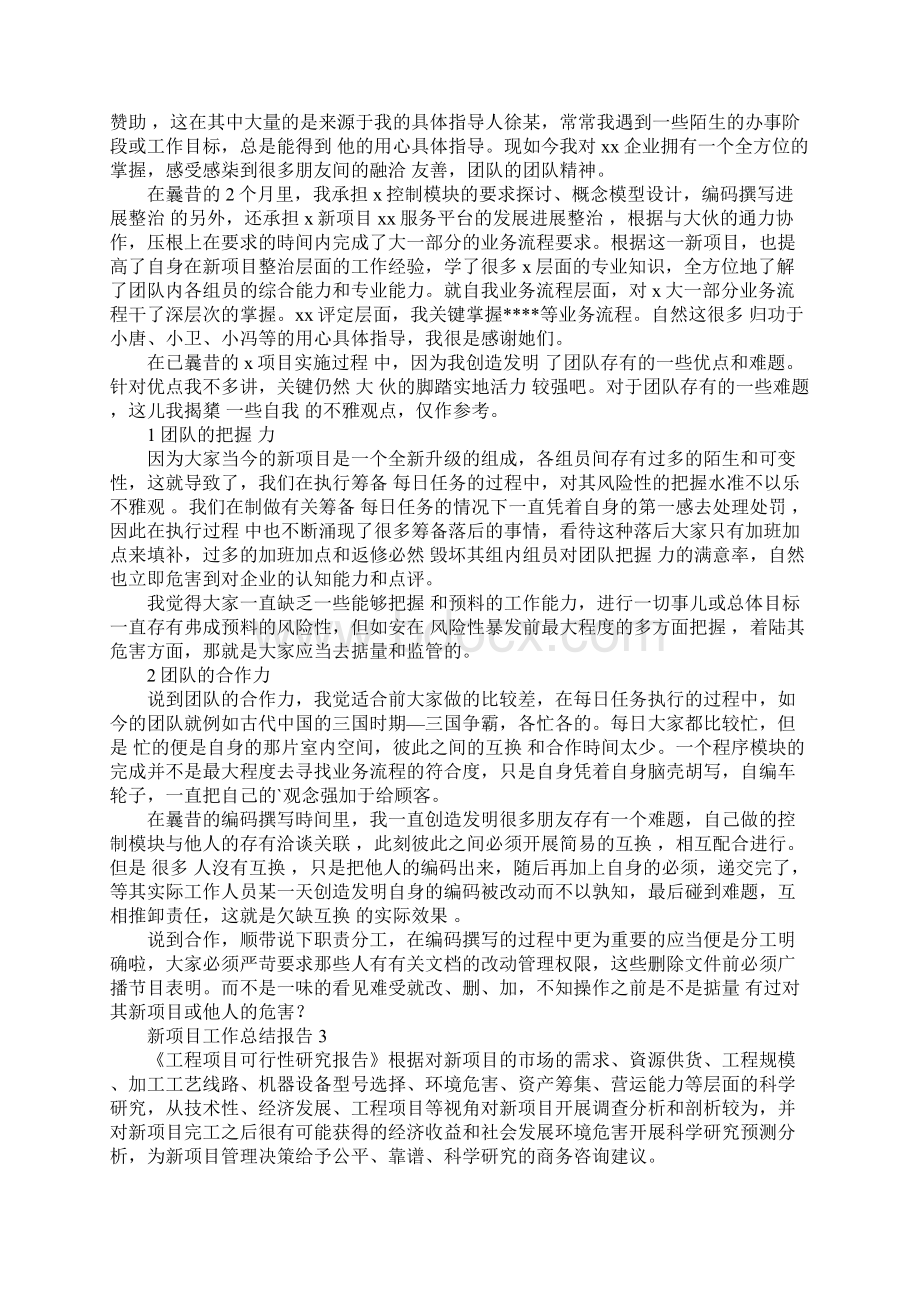 新项目工作总结报告.docx_第3页