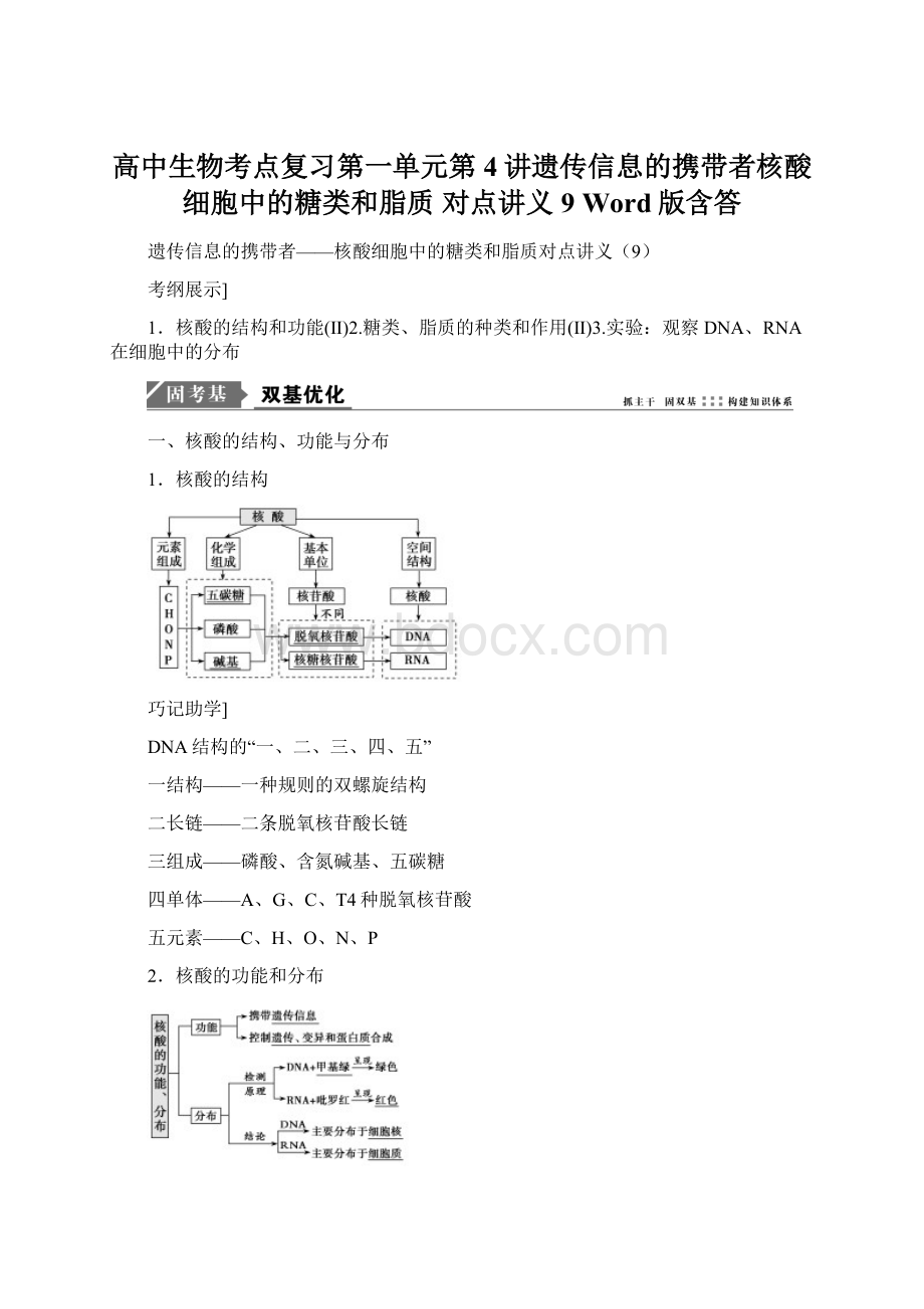 高中生物考点复习第一单元第4讲遗传信息的携带者核酸 细胞中的糖类和脂质 对点讲义9 Word版含答.docx