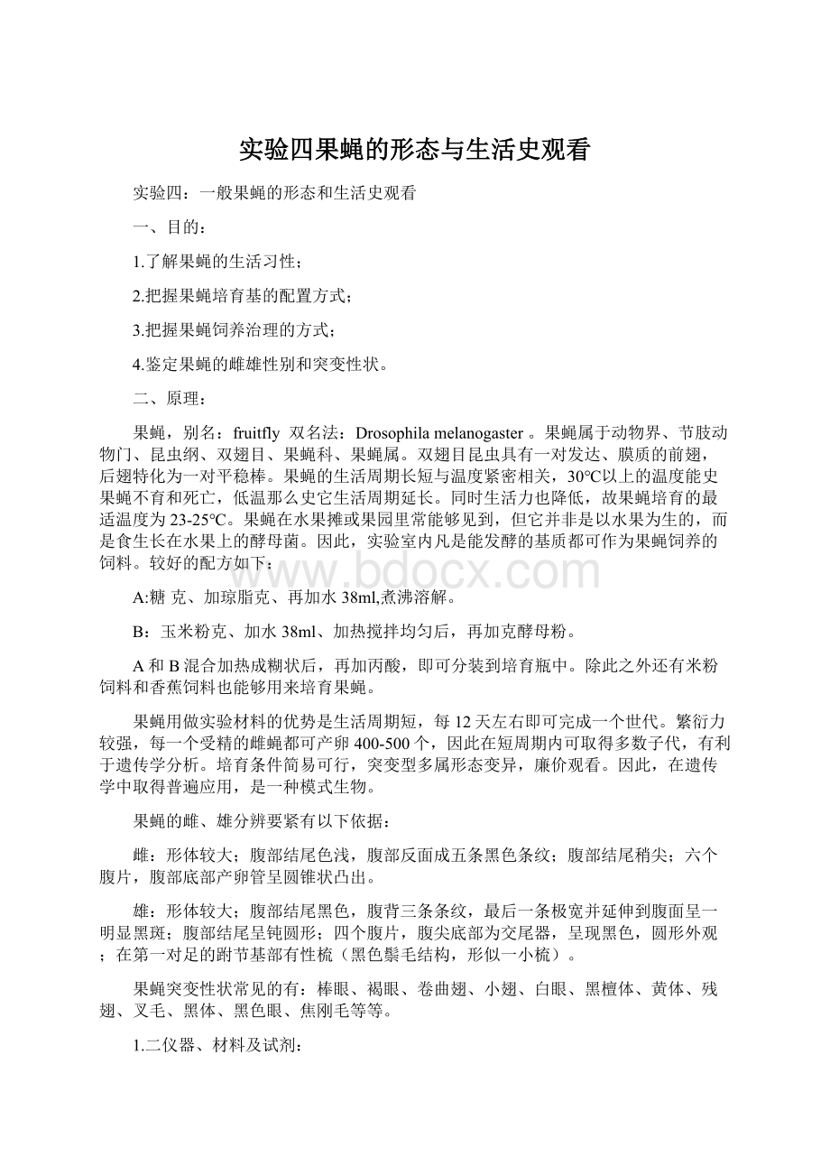 实验四果蝇的形态与生活史观看.docx