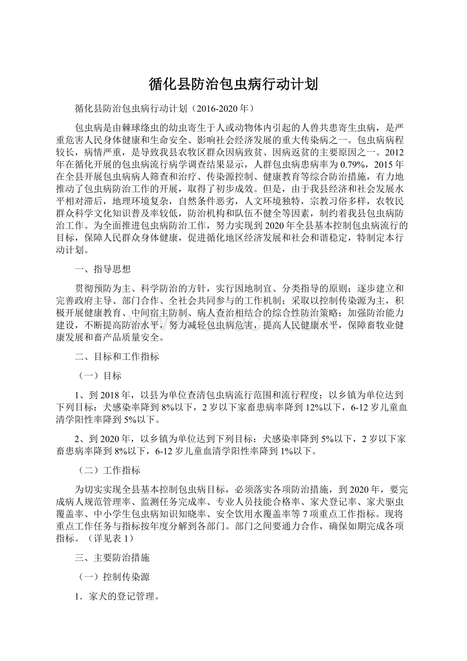 循化县防治包虫病行动计划Word格式.docx