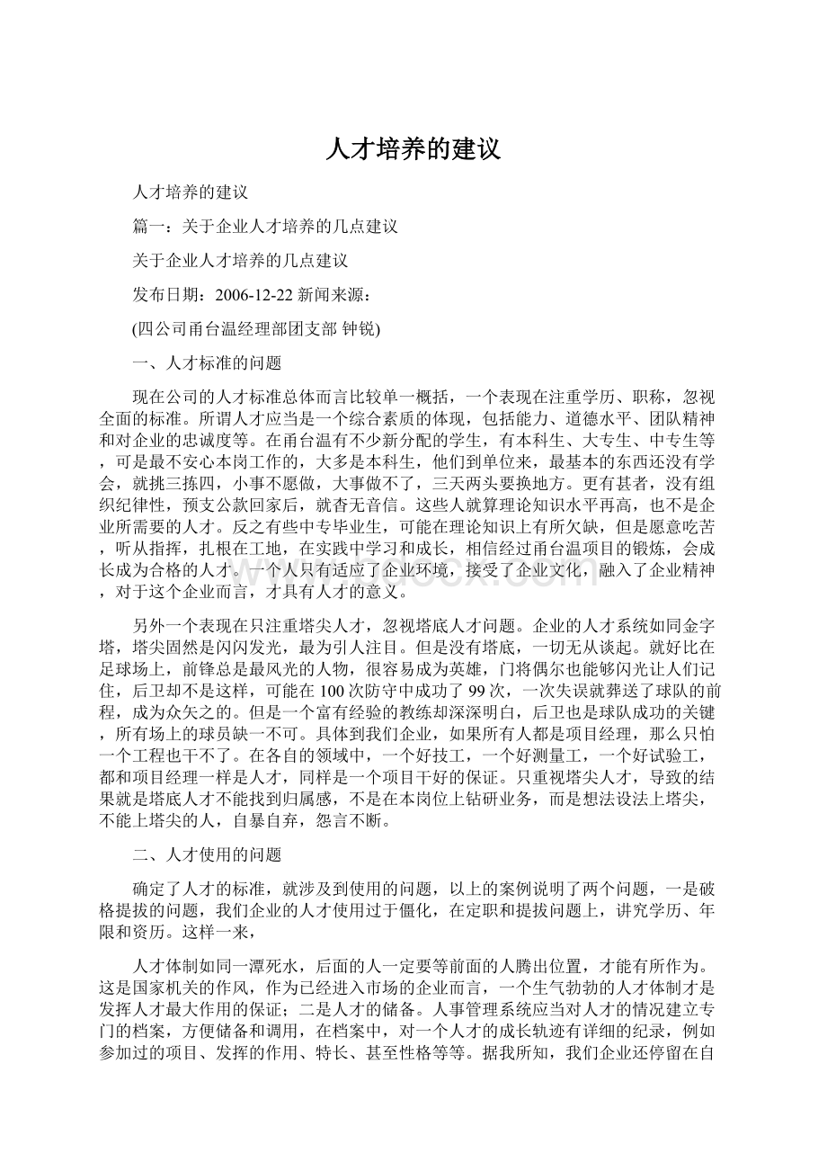 人才培养的建议Word文档下载推荐.docx