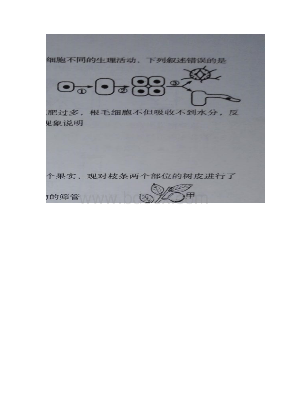 湖北树施州利川市学年七年级地理生物上学期期末考试试题Word格式.docx_第3页