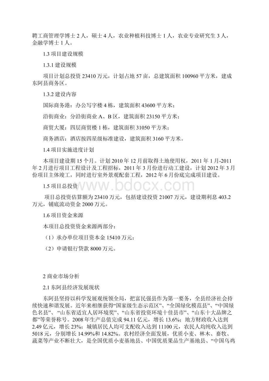 东阿县某某商业开发项目规划案Word文档下载推荐.docx_第2页