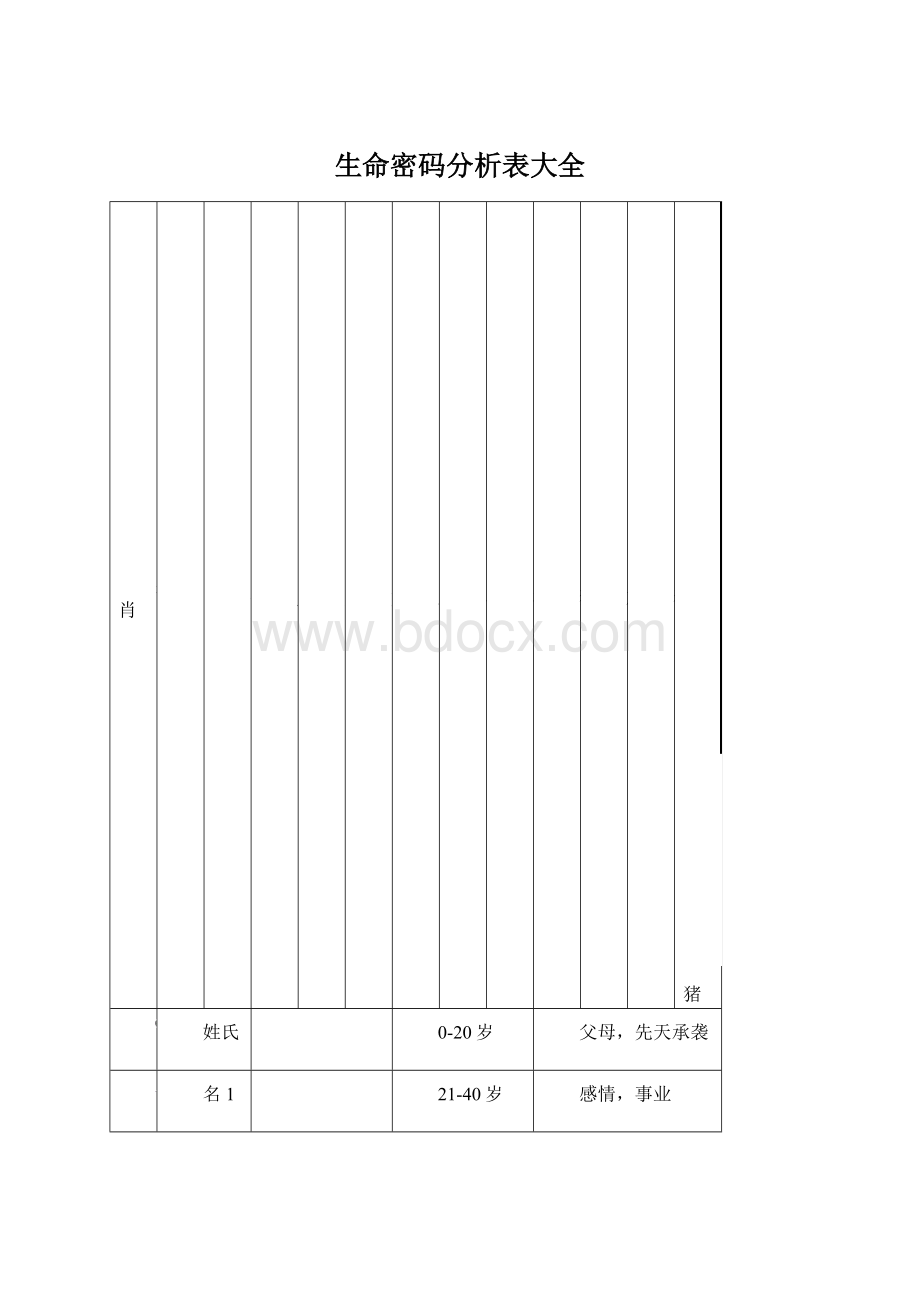 生命密码分析表大全Word下载.docx