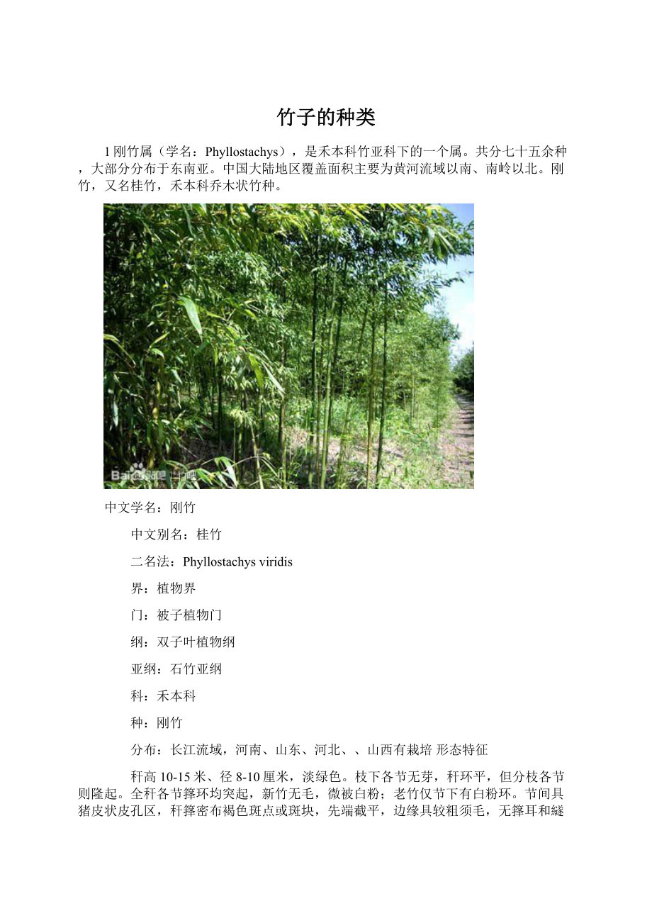竹子的种类.docx_第1页