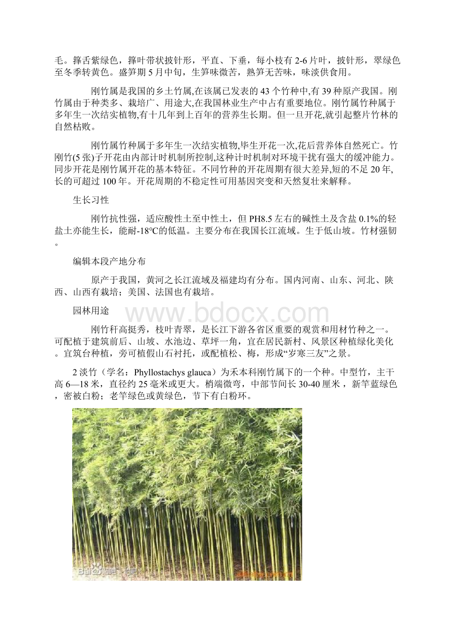 竹子的种类.docx_第2页