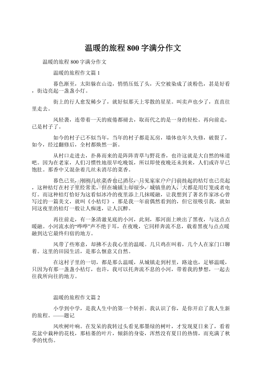 温暖的旅程800字满分作文Word下载.docx