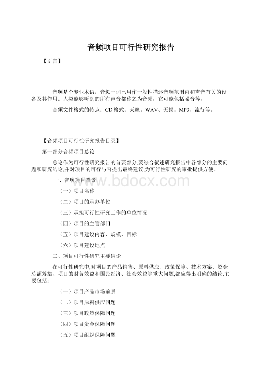 音频项目可行性研究报告Word文档下载推荐.docx