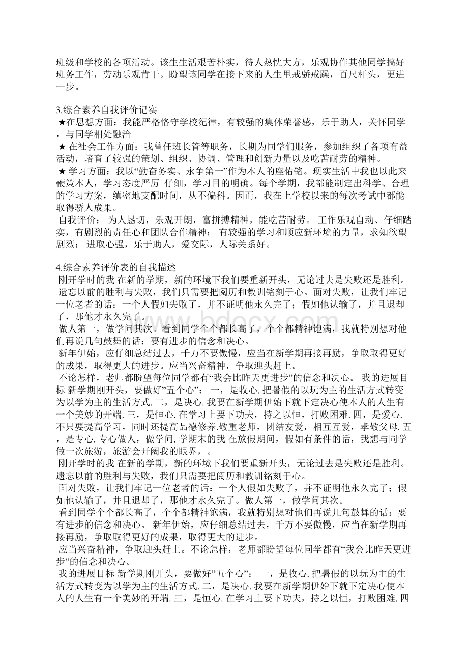 任职资格举证的自我综合评价Word文档格式.docx_第3页