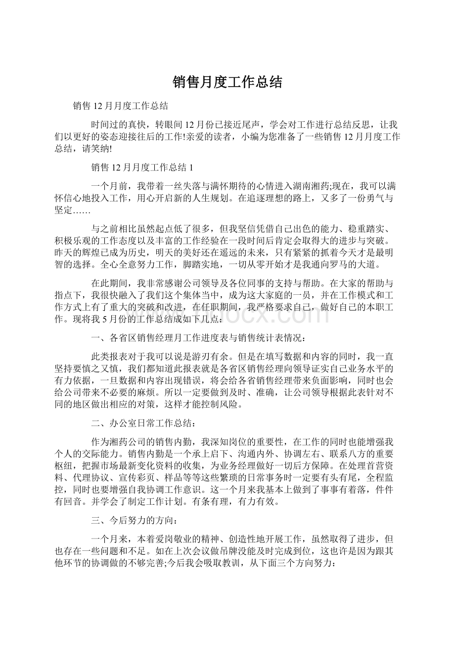 销售月度工作总结Word格式文档下载.docx