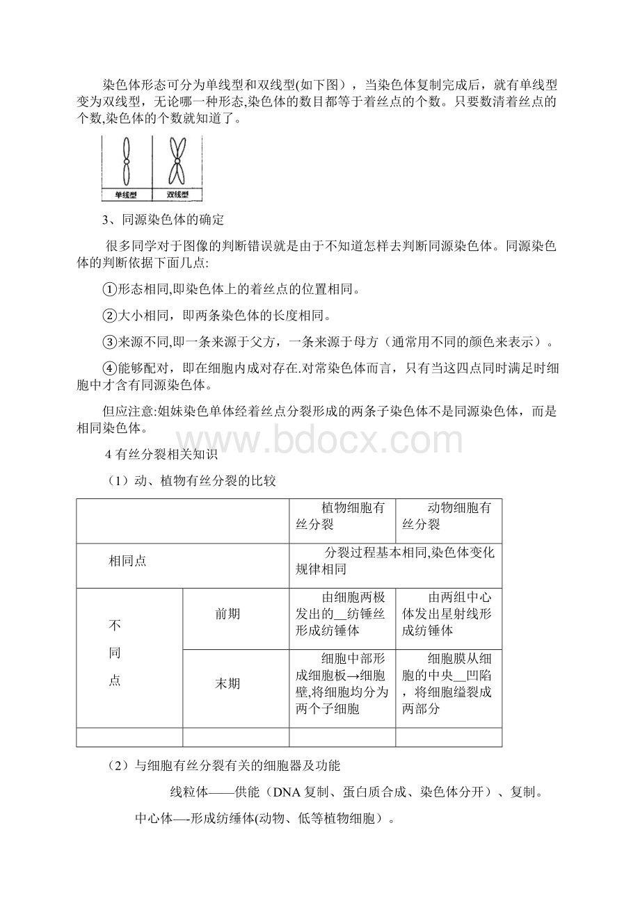 有丝分裂和减数分裂专题讲义高考复习.docx_第2页