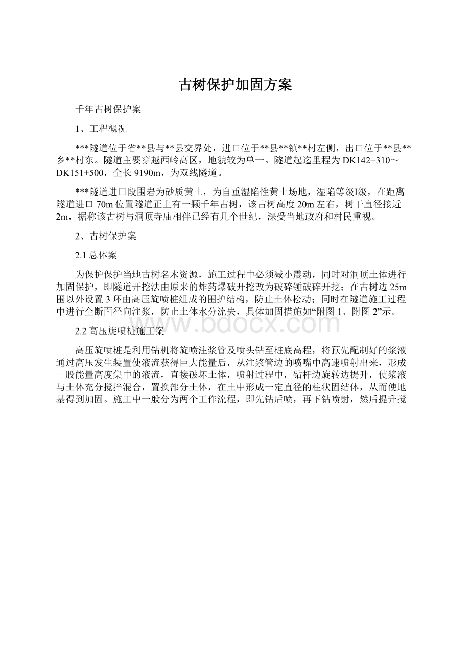 古树保护加固方案.docx