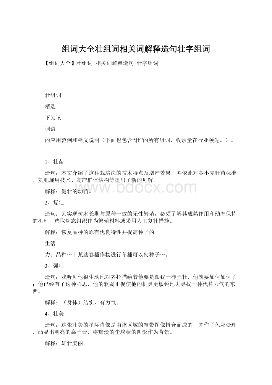 组词大全壮组词相关词解释造句壮字组词文档格式.docx_第1页