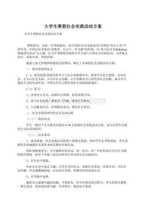 大学生寒假社会实践活动方案.docx