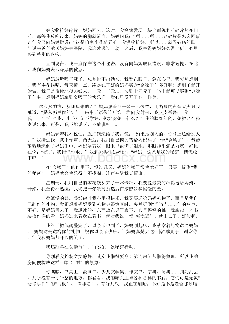 我的秘密作文300字精选.docx_第2页