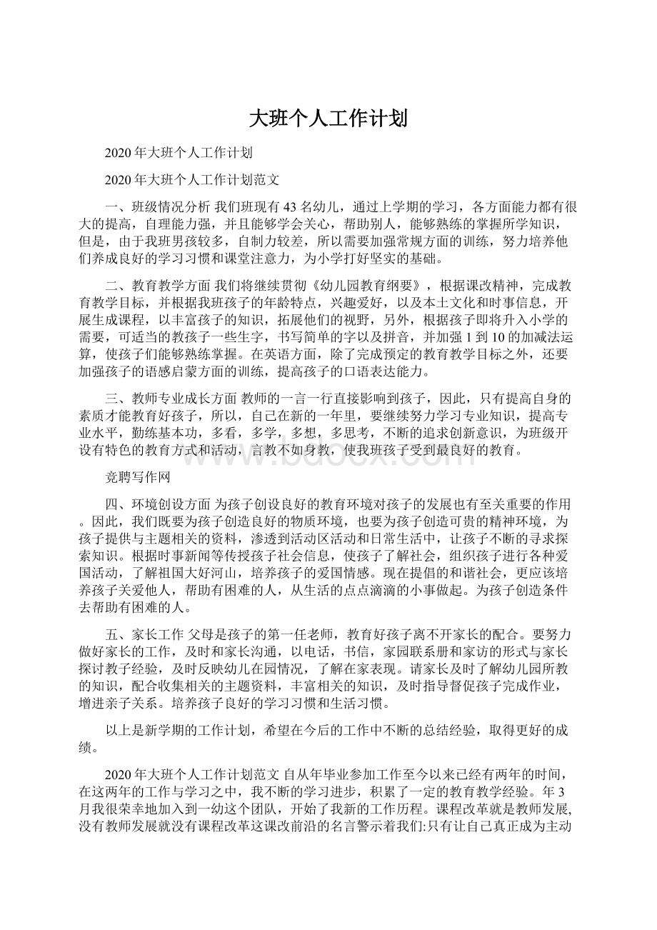 大班个人工作计划Word文档下载推荐.docx