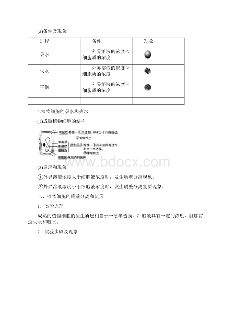 新人教版生物必修1 第4章 第1节 被动运输.docx_第2页