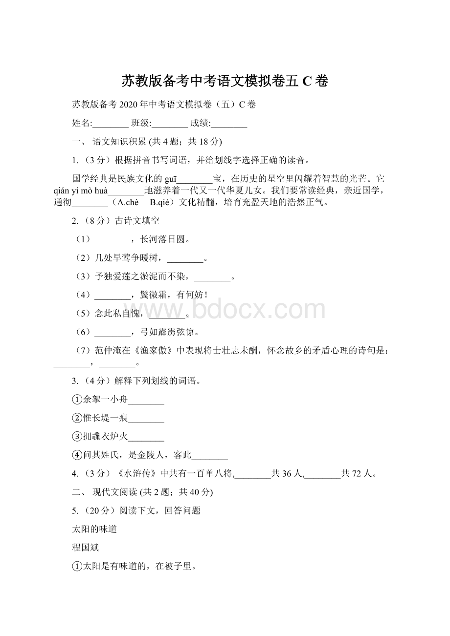 苏教版备考中考语文模拟卷五C卷.docx