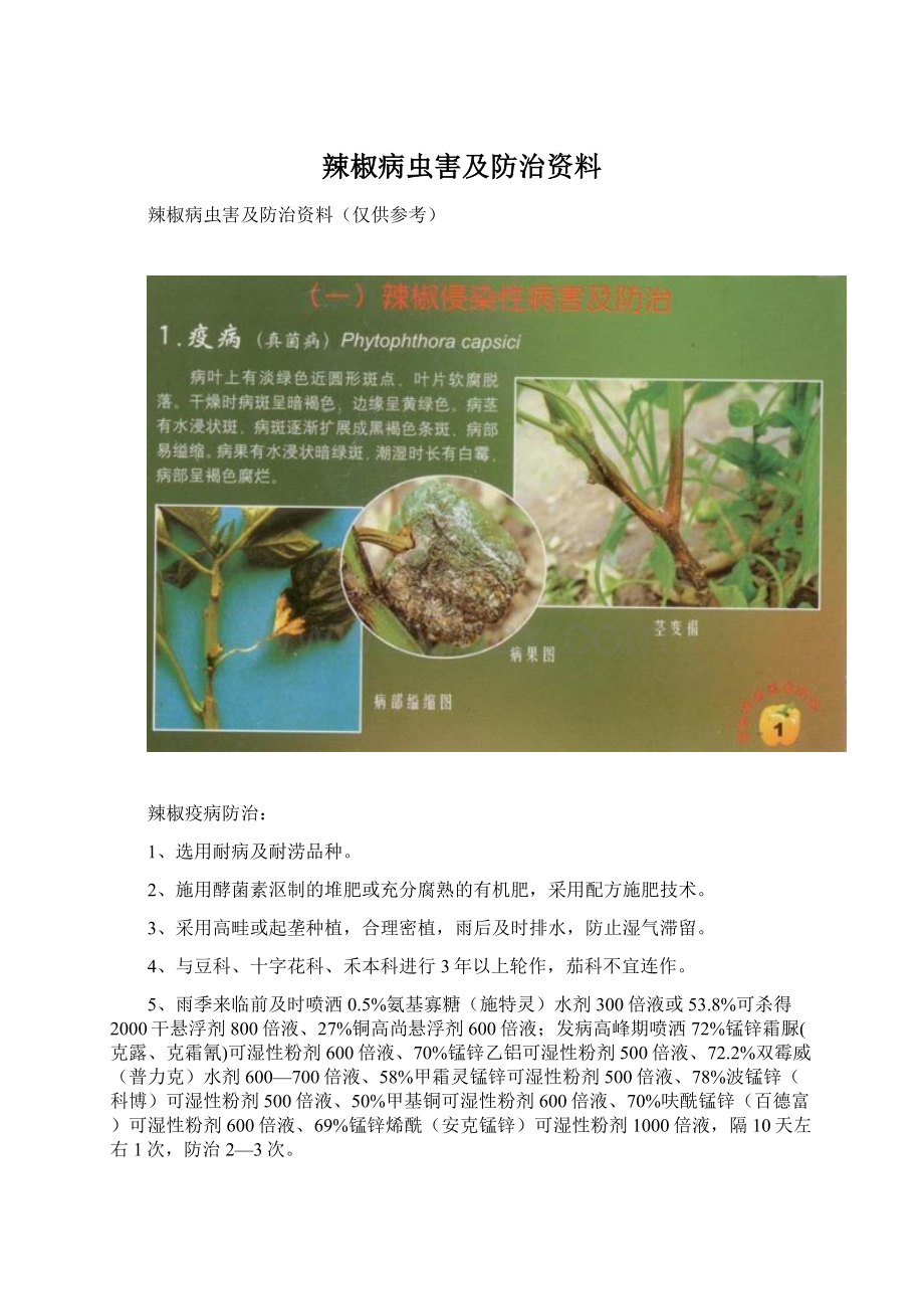 辣椒病虫害及防治资料Word文件下载.docx