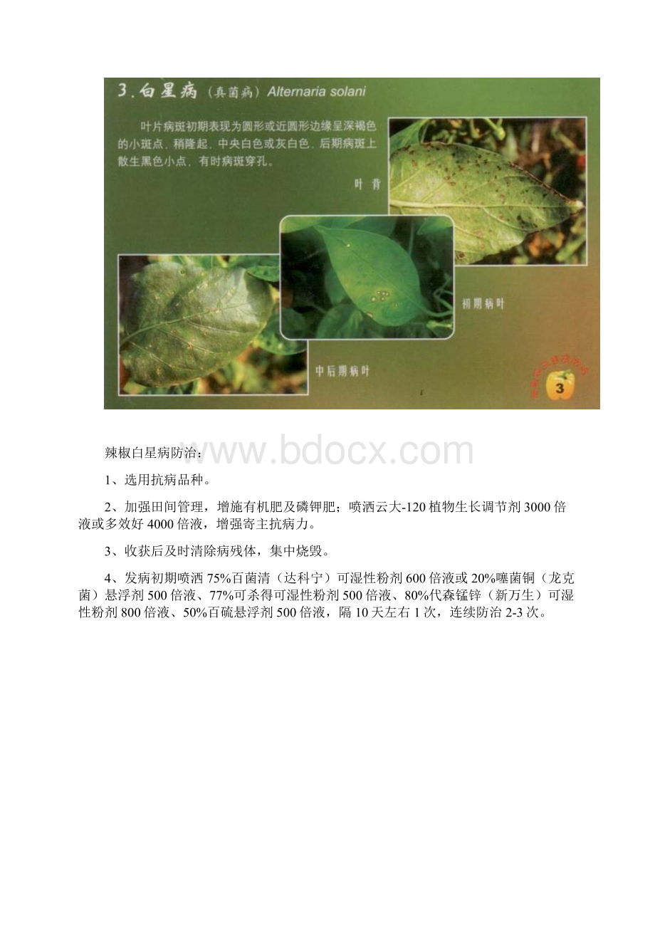 辣椒病虫害及防治资料.docx_第3页