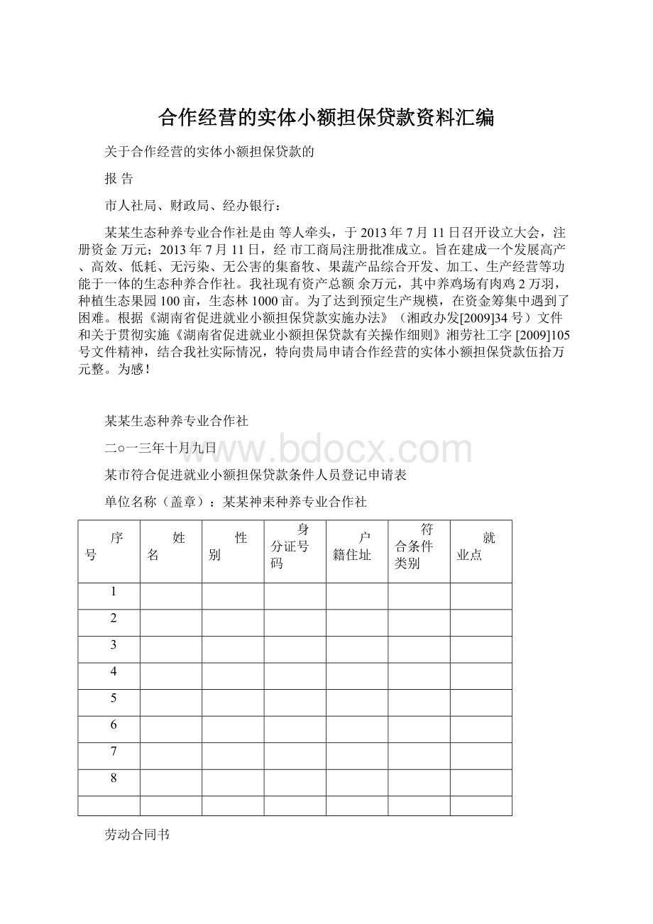 合作经营的实体小额担保贷款资料汇编.docx