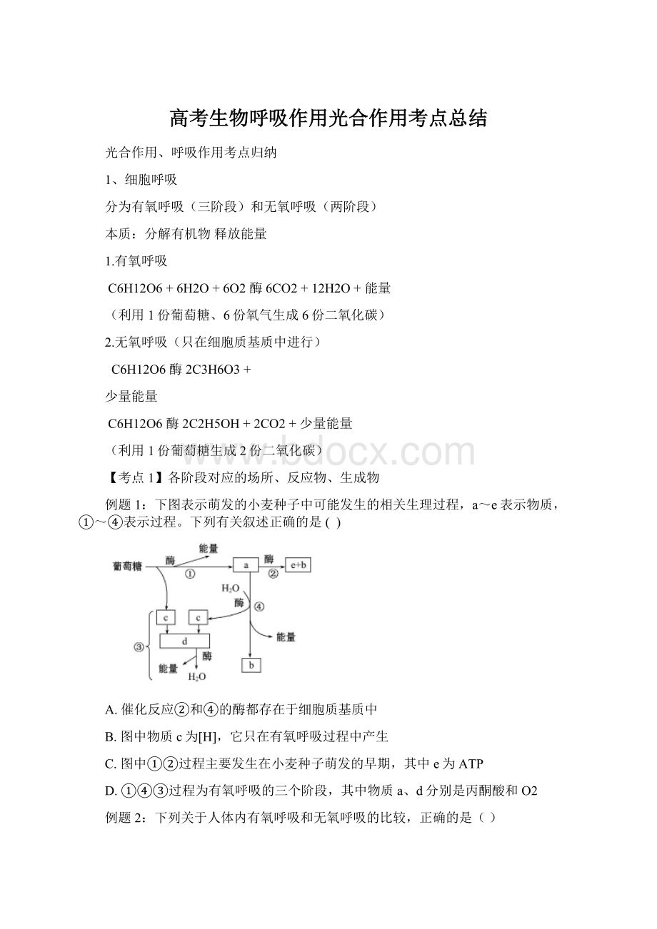 高考生物呼吸作用光合作用考点总结文档格式.docx_第1页