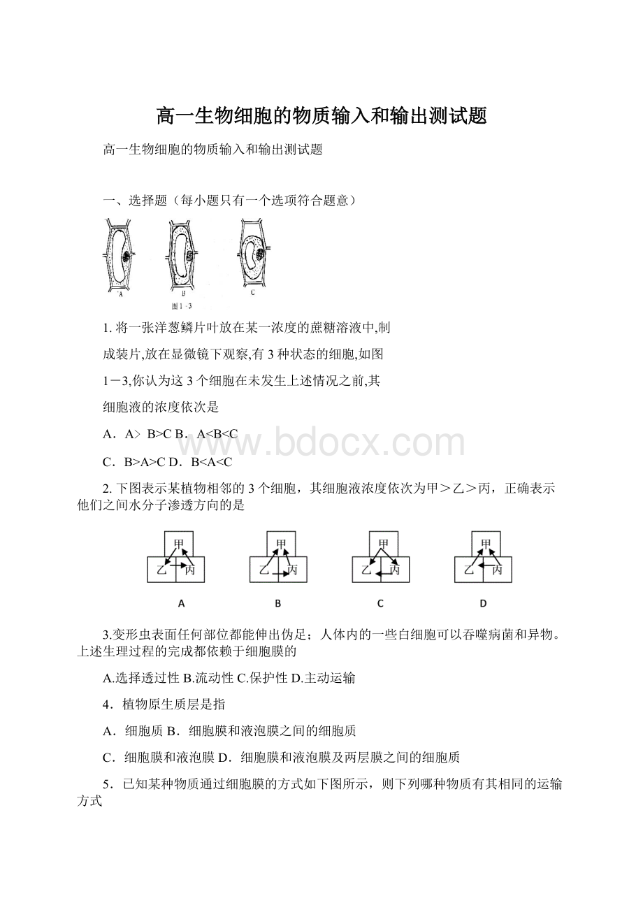 高一生物细胞的物质输入和输出测试题Word下载.docx