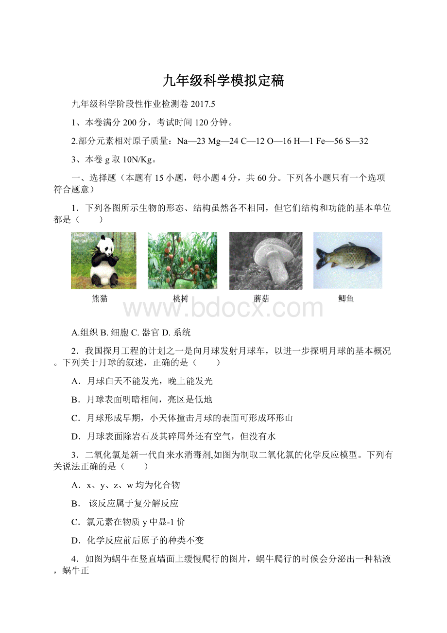 九年级科学模拟定稿.docx_第1页