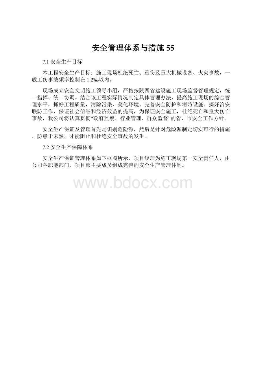 安全管理体系与措施55.docx