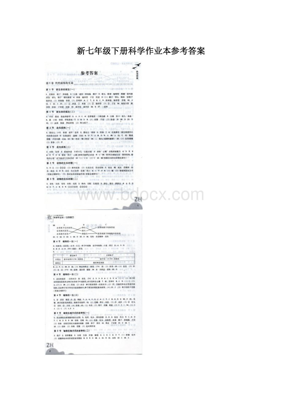 新七年级下册科学作业本参考答案.docx_第1页