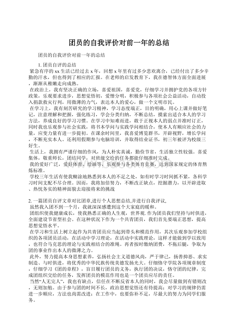 团员的自我评价对前一年的总结Word文件下载.docx