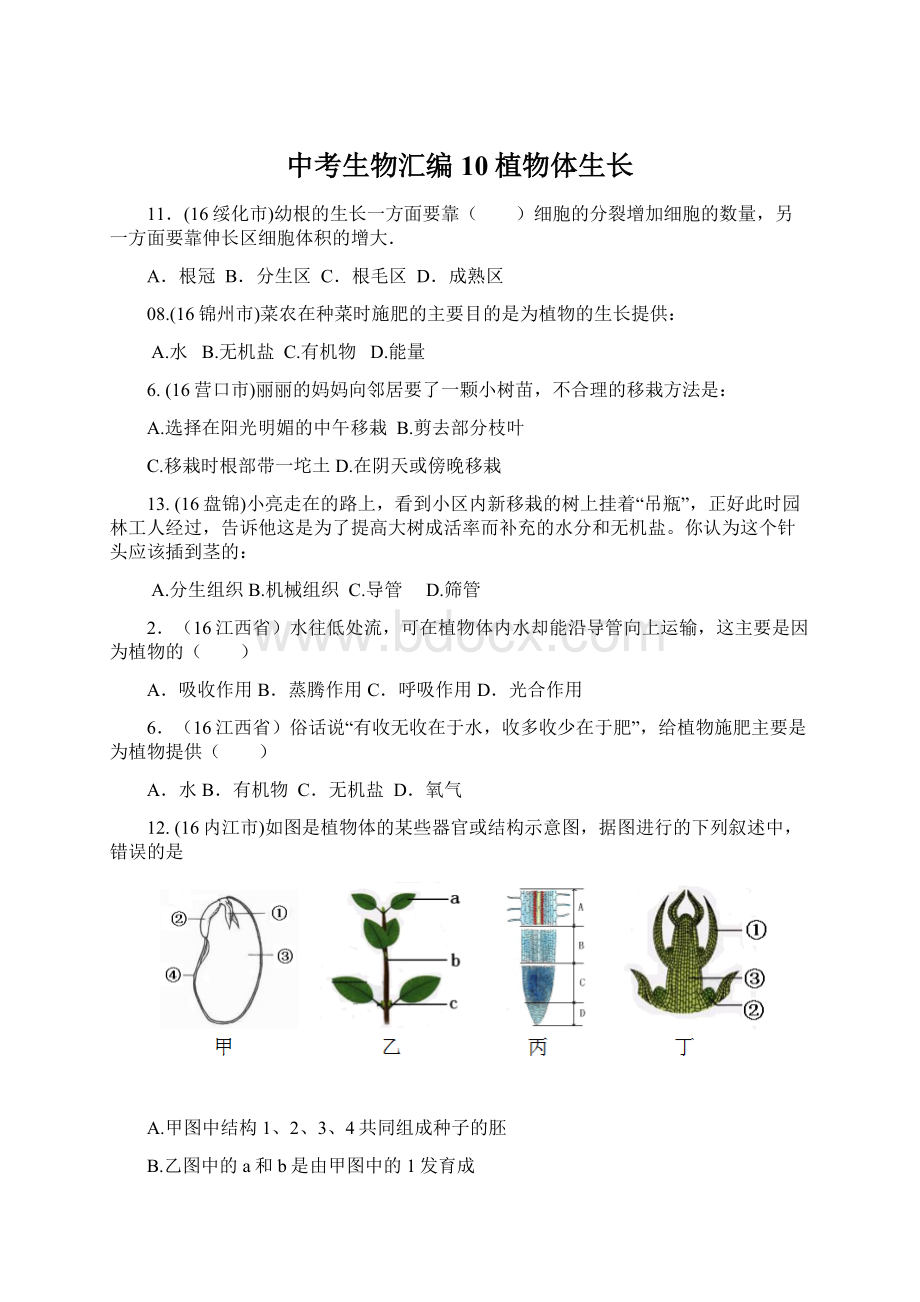 中考生物汇编10植物体生长.docx