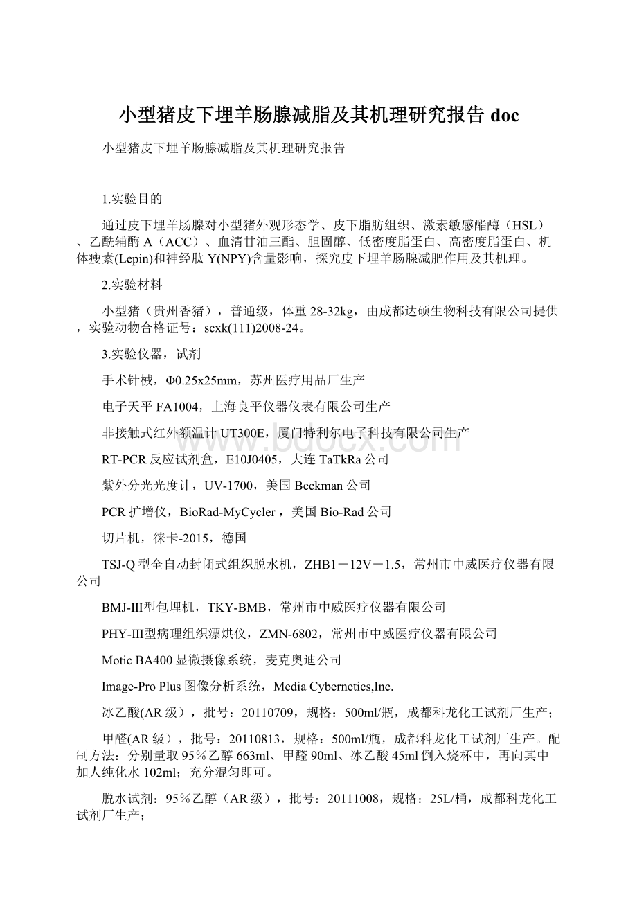 小型猪皮下埋羊肠腺减脂及其机理研究报告doc.docx