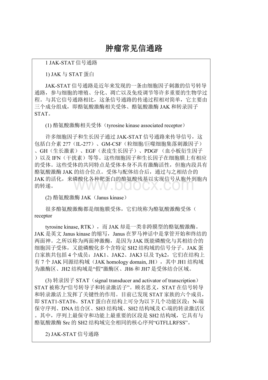 肿瘤常见信通路Word文档下载推荐.docx