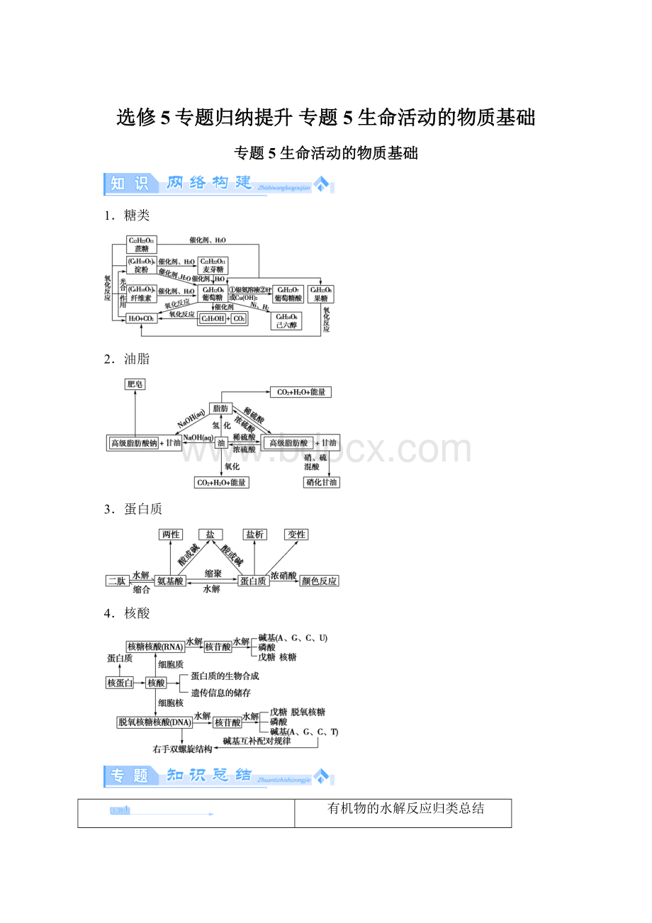 选修5专题归纳提升 专题5 生命活动的物质基础.docx_第1页