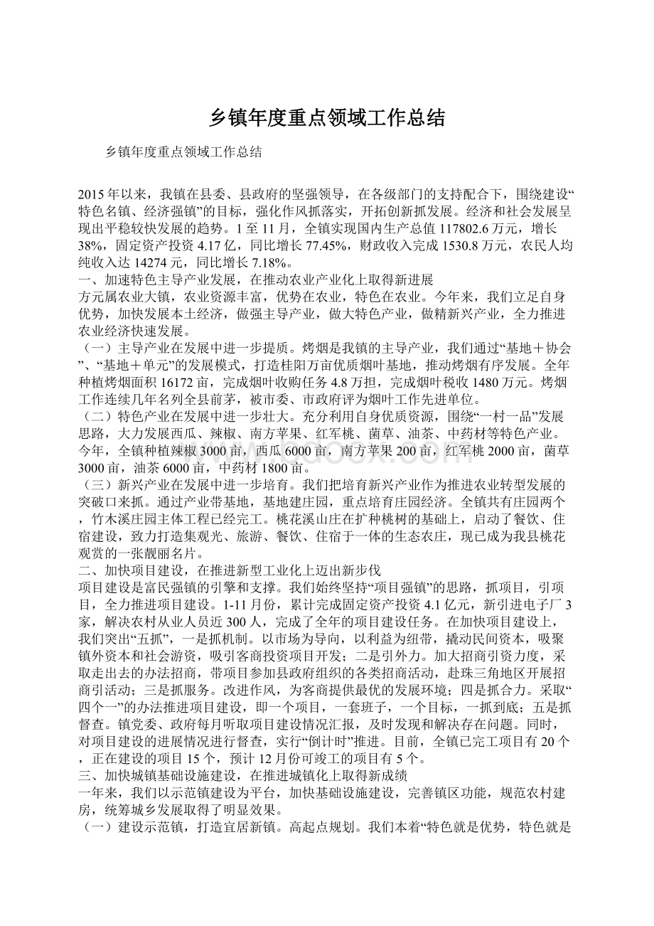 乡镇年度重点领域工作总结Word格式文档下载.docx