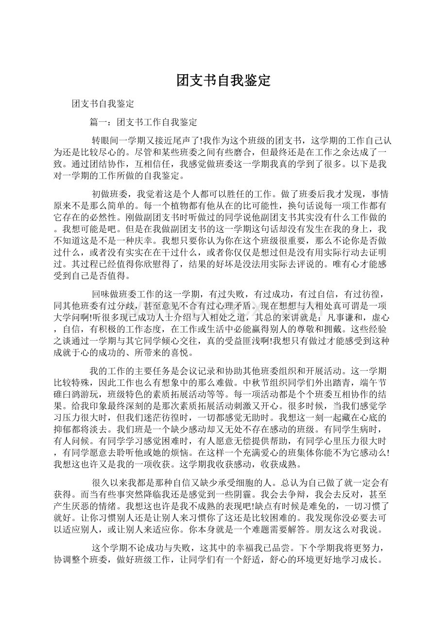 团支书自我鉴定Word文档格式.docx