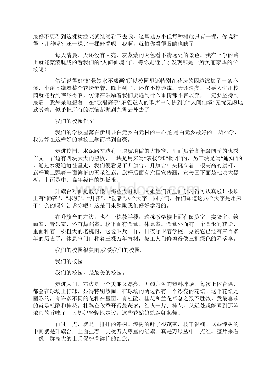 最新校园的小花园300字.docx_第2页