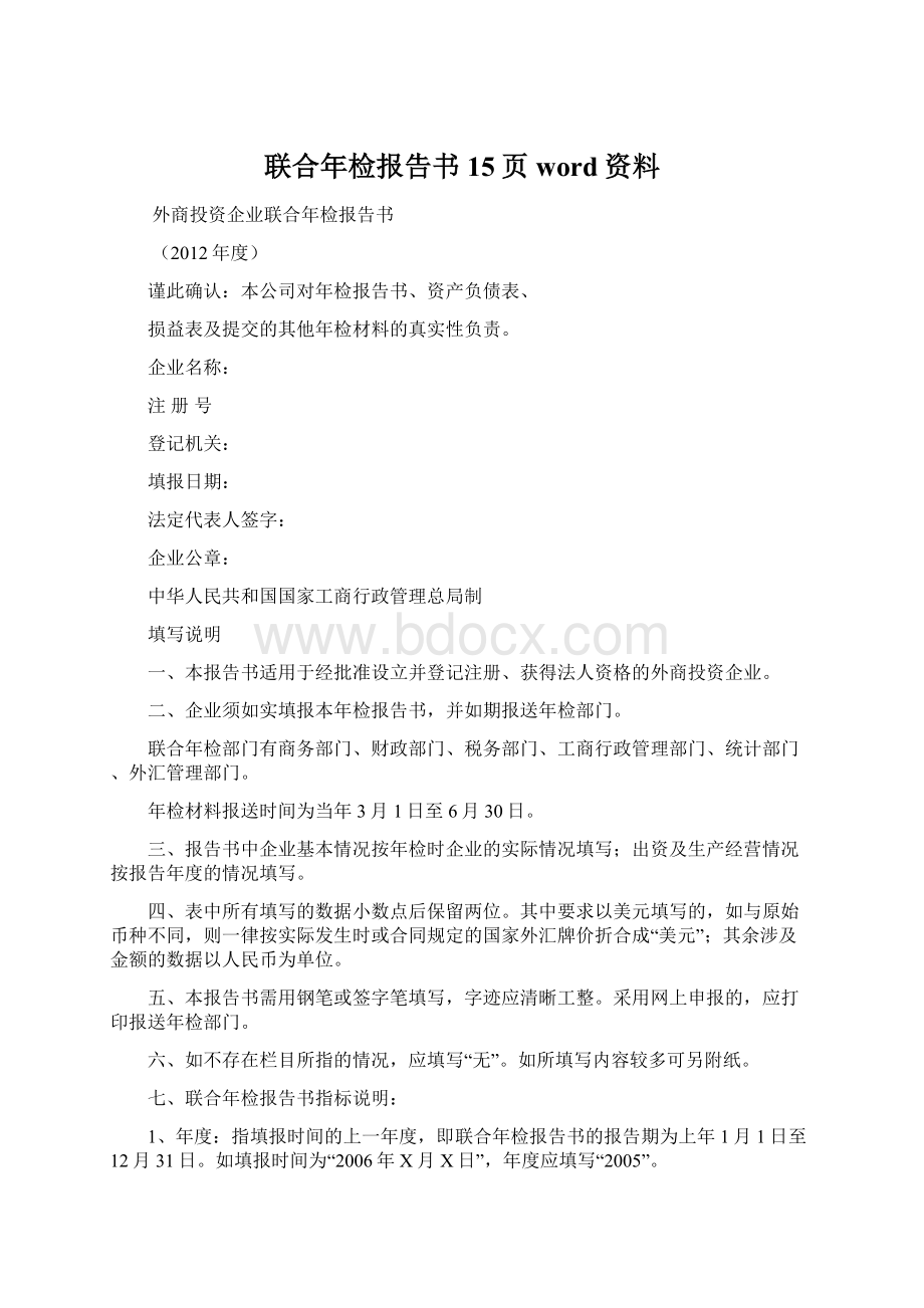 联合年检报告书15页word资料.docx