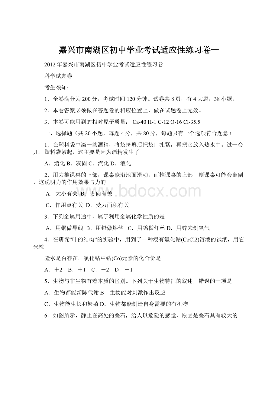 嘉兴市南湖区初中学业考试适应性练习卷一.docx