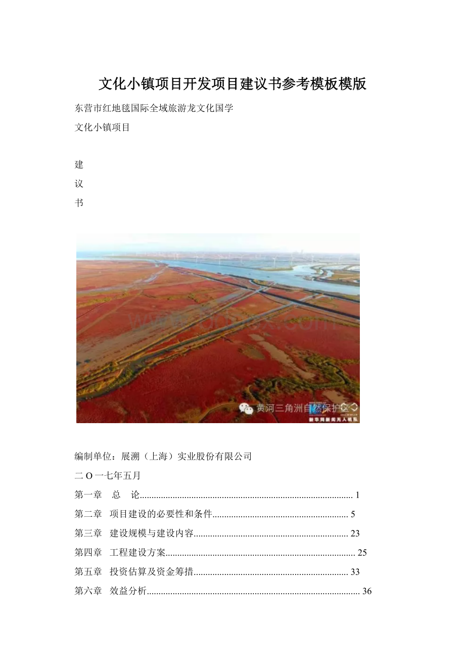 文化小镇项目开发项目建议书参考模板模版.docx