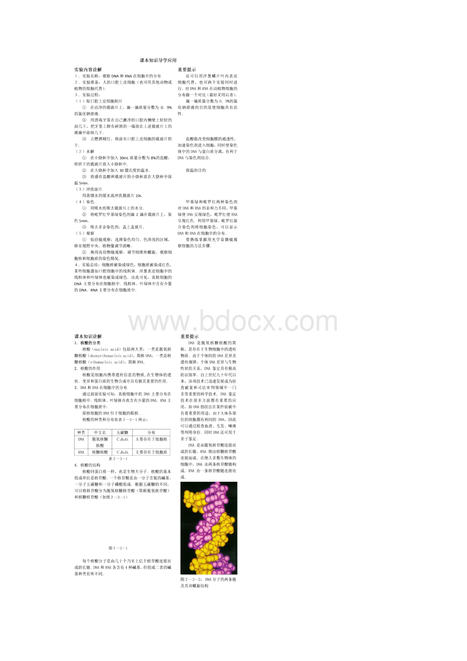 遗传信息的携带者核酸解读.docx_第2页