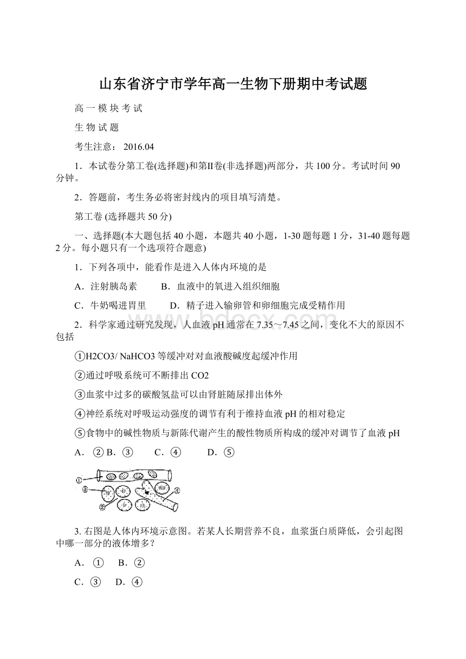 山东省济宁市学年高一生物下册期中考试题Word下载.docx