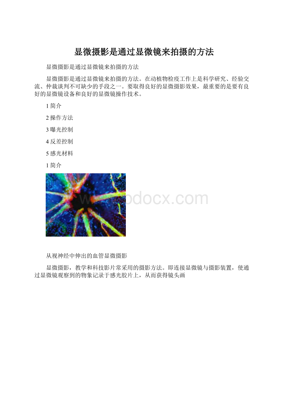 显微摄影是通过显微镜来拍摄的方法.docx_第1页