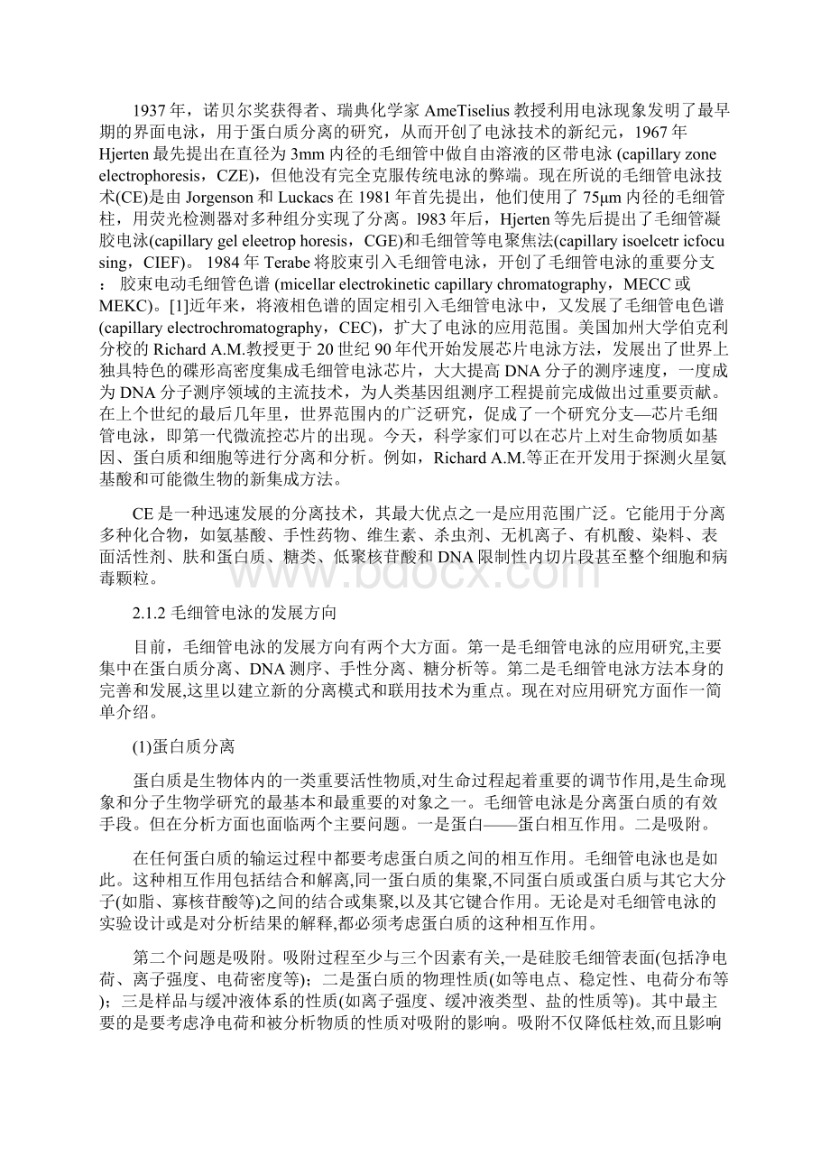 毛细管电泳技术及其在药物分析中的应用.docx_第2页