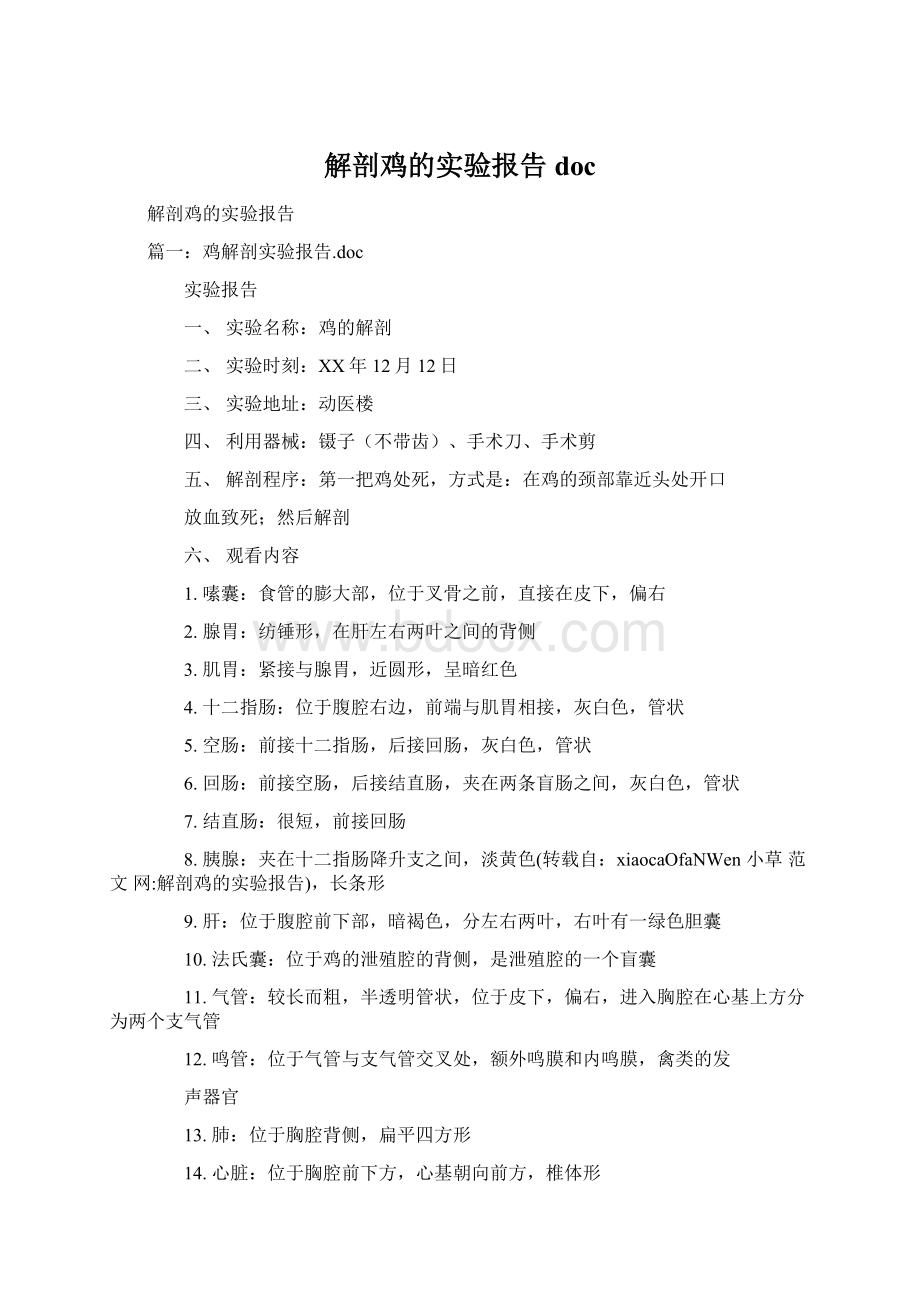 解剖鸡的实验报告doc.docx_第1页