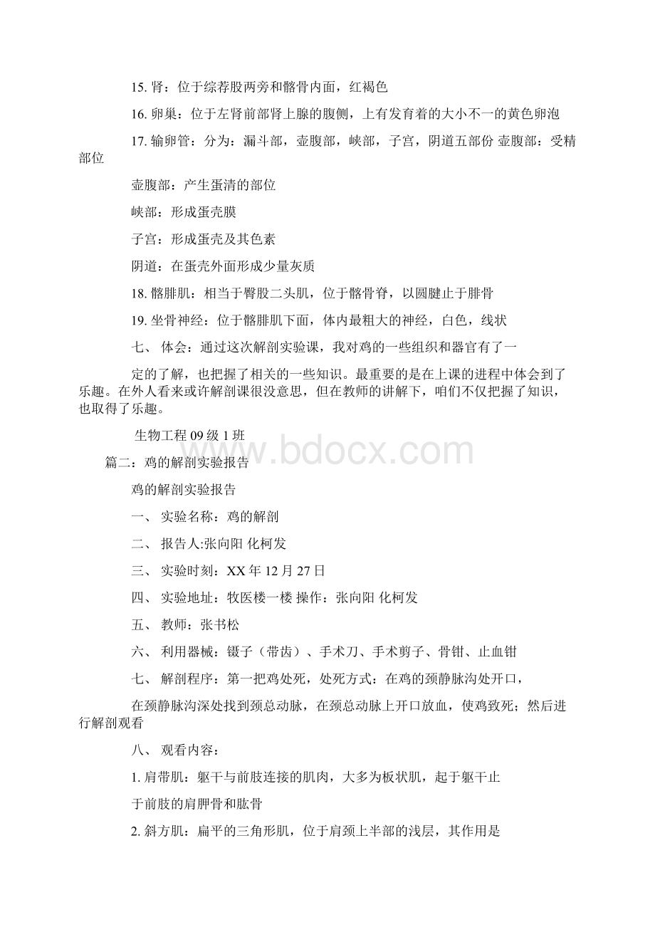 解剖鸡的实验报告doc.docx_第2页