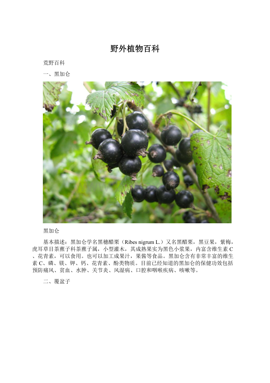 野外植物百科Word文件下载.docx_第1页