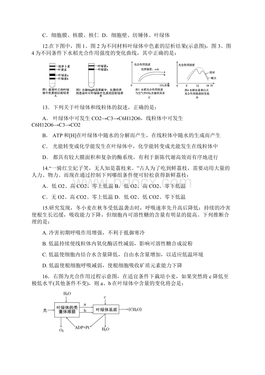 高三考试生物试题.docx_第3页